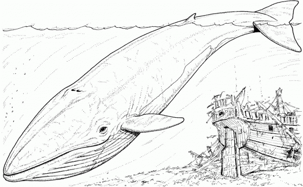 Blue Whale and Sinking Boat coloring page image