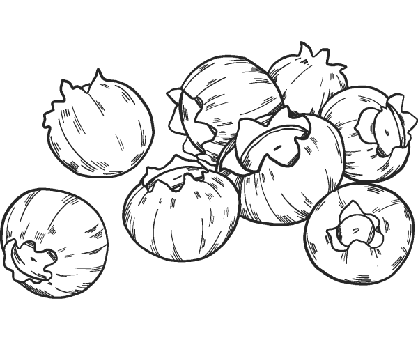 Blueberries coloring page image