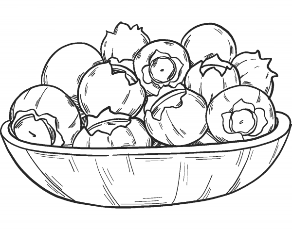 Blueberries in a bowl coloring page image