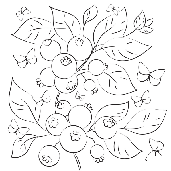 Blueberry coloring page image