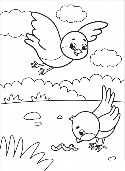 Bluebird coloring page image