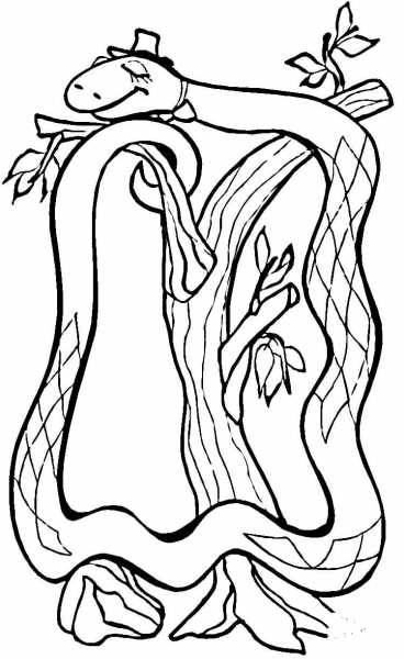 Boa Constrictor coloring page image