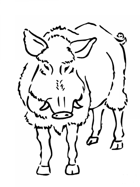 Boar coloring page image