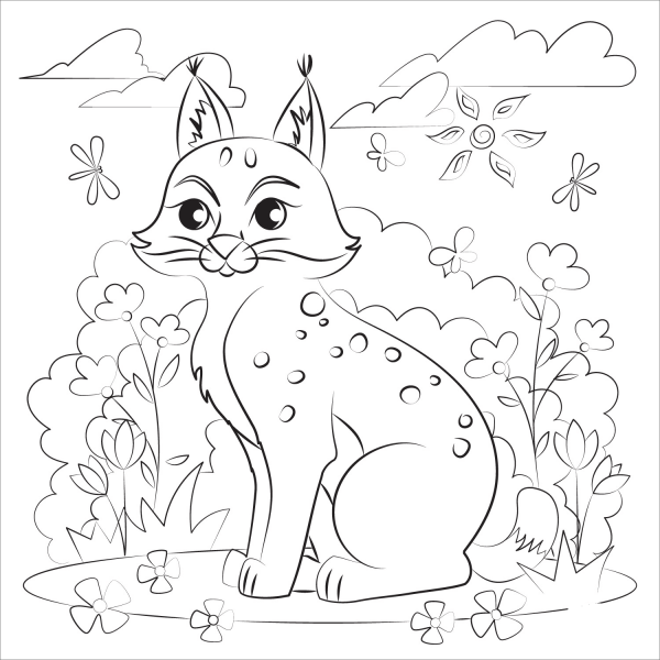 Bobcat coloring page image