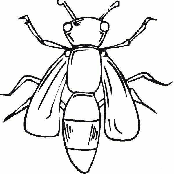 Body Of Bee coloring page image