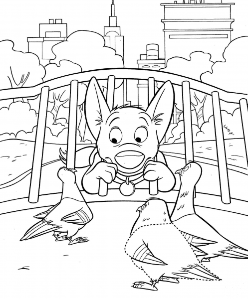 Bolt Is Asking Doves Where Is Penny  coloring page image