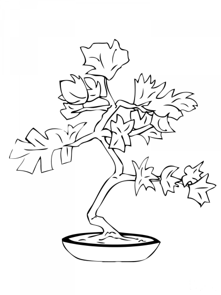 Bonsai coloring page image