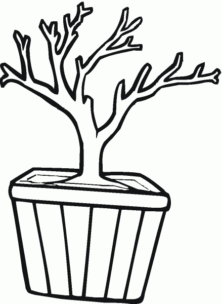 Bonsai in a Pot coloring page image