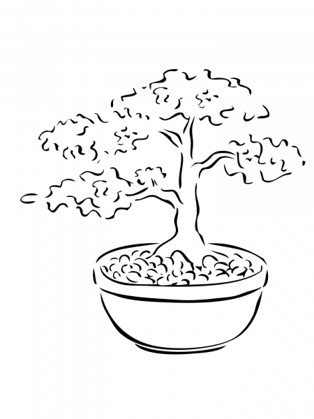 Bonsai Miniature Tree coloring page image