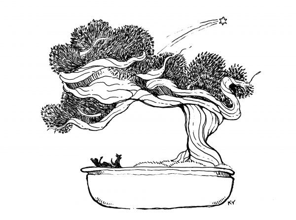 Bonsai Tree coloring page image