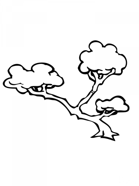 Bonsai Tree coloring page image