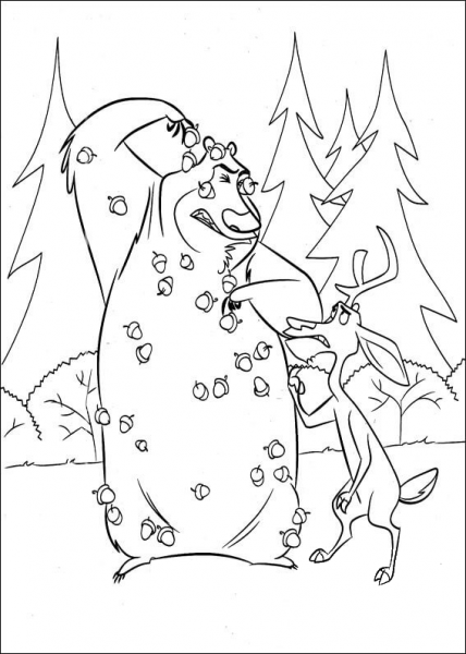 Boog attacked by acorns coloring page image