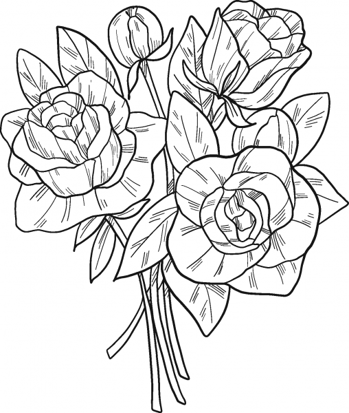 Bouquet of Roses coloring page image
