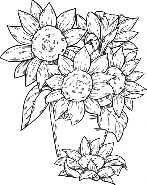 Bouquet of Sunflowers coloring page image