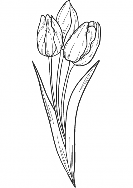 Bouquet of Tulips coloring page image
