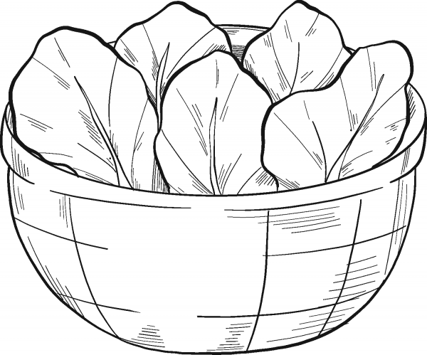 Bowl with Lettuce coloring page image