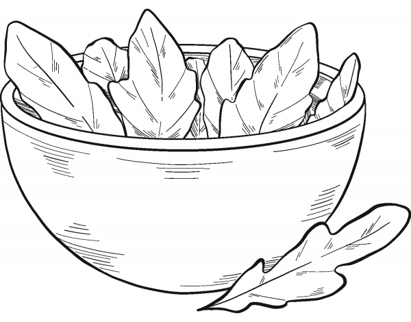 Bowl with Lettuce coloring page image