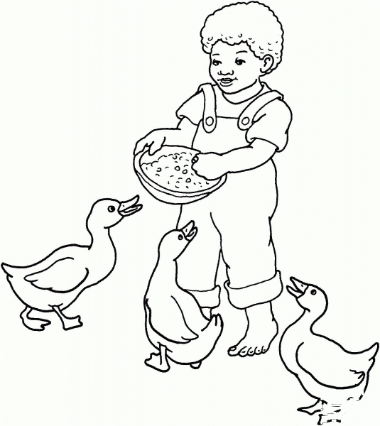 Boy Feeds Geese coloring page image
