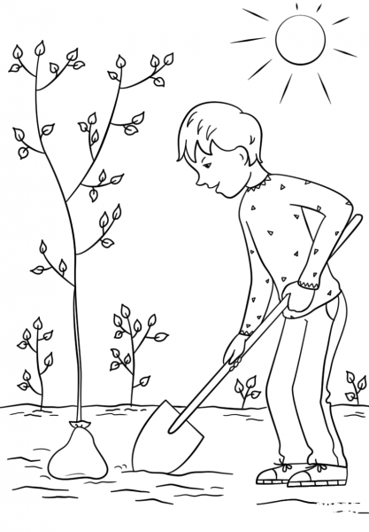 Boy Planting a Tree coloring page image