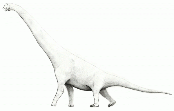 Brachiosaurus coloring page image