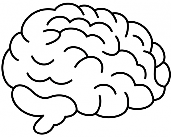 Brain coloring page image