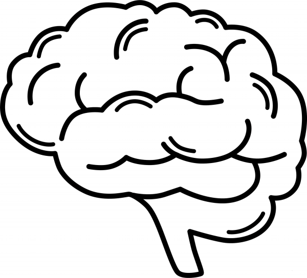 Brain coloring page image