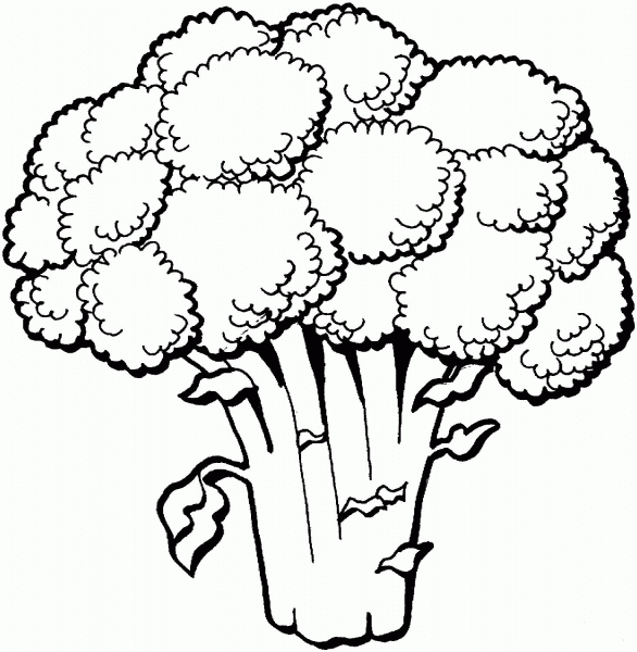 Broccoli coloring page image