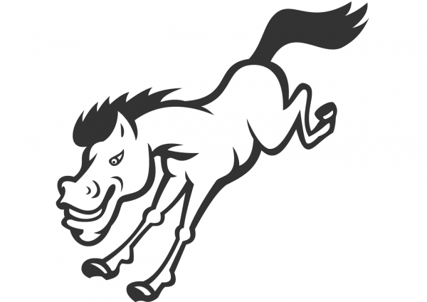 Bronco Horse Jumping coloring page image