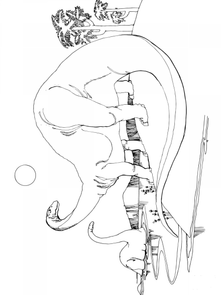 Brontosaurus Apatosaurus coloring page image