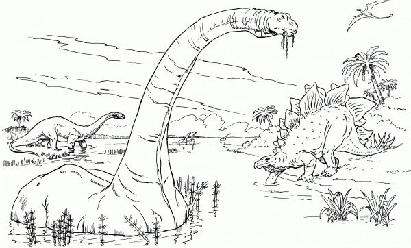 Brontosaurus-Apatosaurus, Stegosaurus and Rhamphorhynchus coloring page image