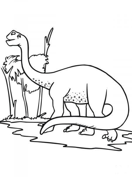 Brontosaurus coloring page image