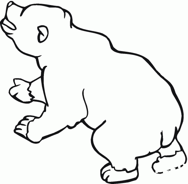 Brown Bear 10 coloring page image
