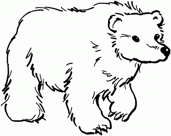 Brown Bear 11 coloring page image