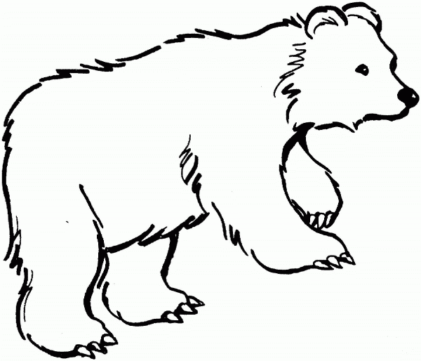 Brown Bear 13 coloring page image