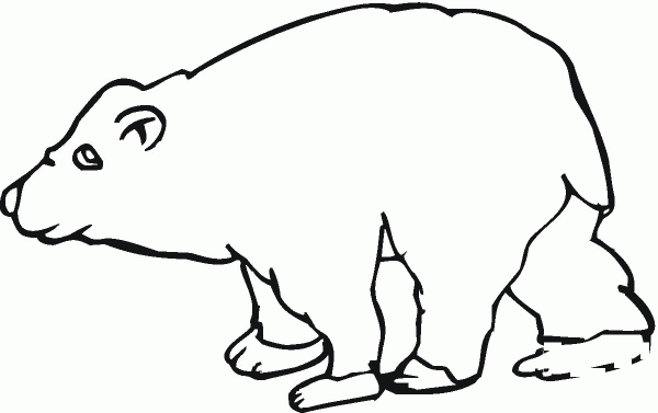 Brown Bear 7 coloring page image