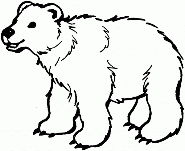 Brown Bear coloring page image