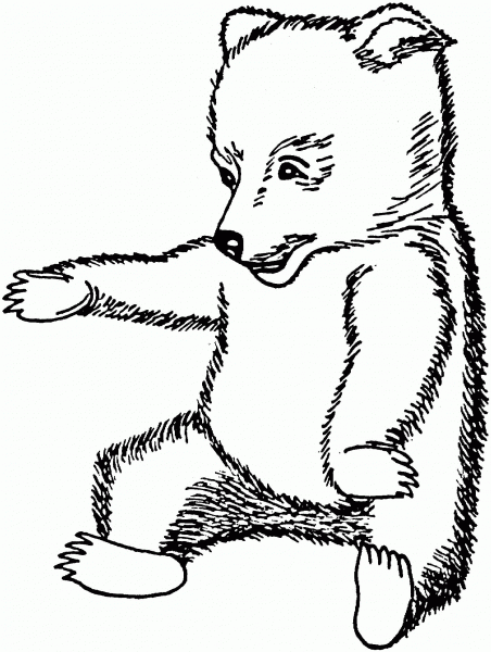 Brown Bear Cub coloring page image