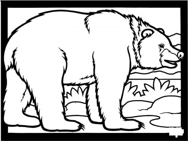 Brown Bear Is Walking coloring page image