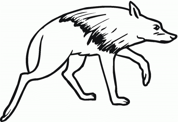 Brown Hyena coloring page image