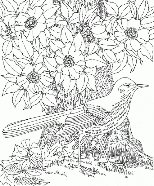 Brown Thrasher and Cherokee Rose Georgia Bird and Flower coloring page image