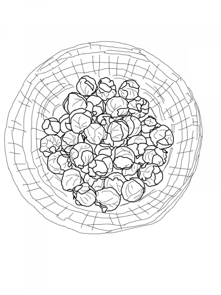 Brussels Sprouts in a Plate coloring page image