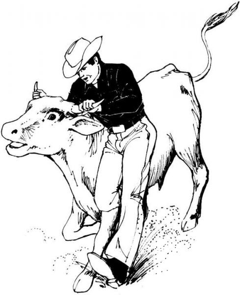 Bucking Bull coloring page image