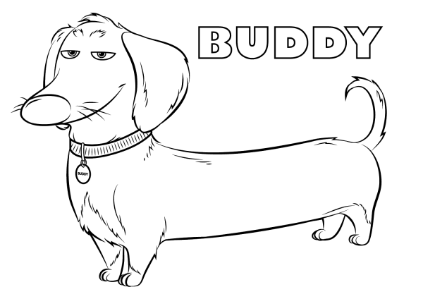 Buddy from the Secret Life of Pets coloring page image