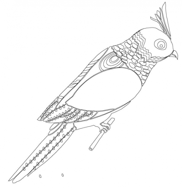 Budgerigar coloring page image