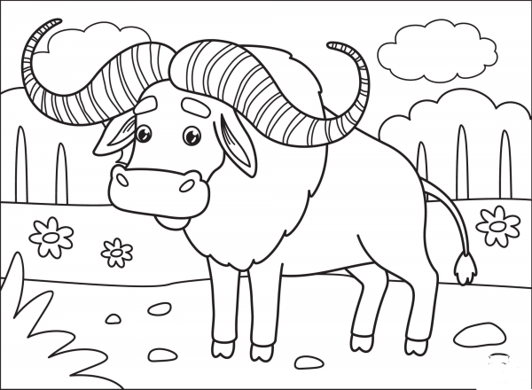 Buffalo coloring page image