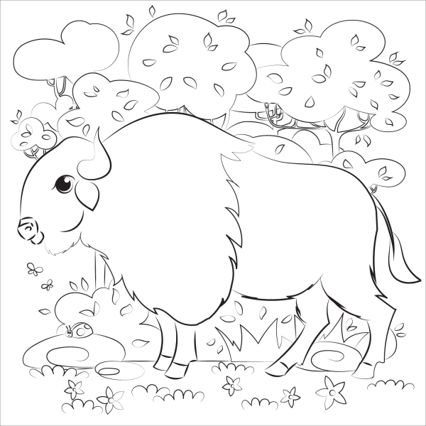 Buffalo coloring page image