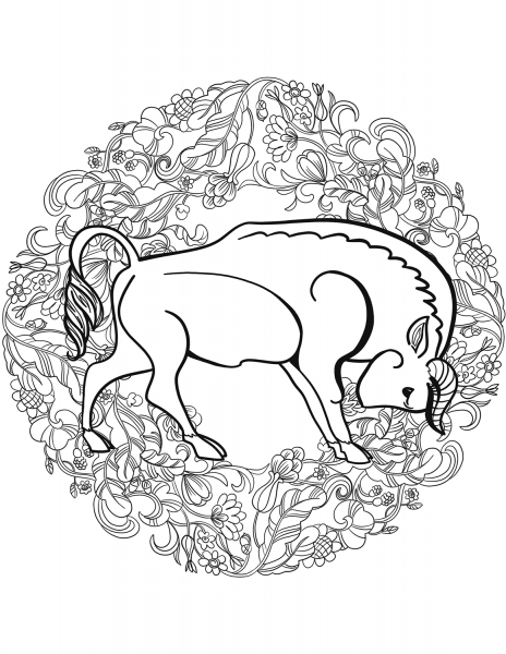 Buffalo Mandala coloring page image