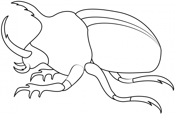 Bug coloring page image