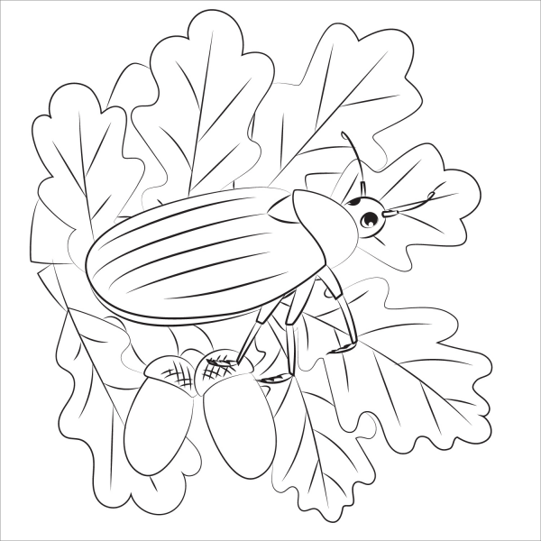 Bug coloring page image