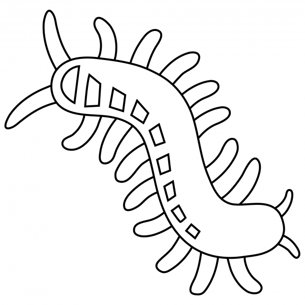 Bug Emoji coloring page image